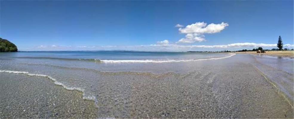 카이타이아 Seascape Peninsula Bach 빌라 외부 사진